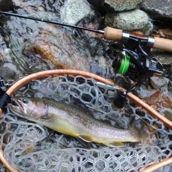 増水の谷でイワナ釣り